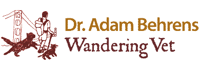 wanderingvet.com